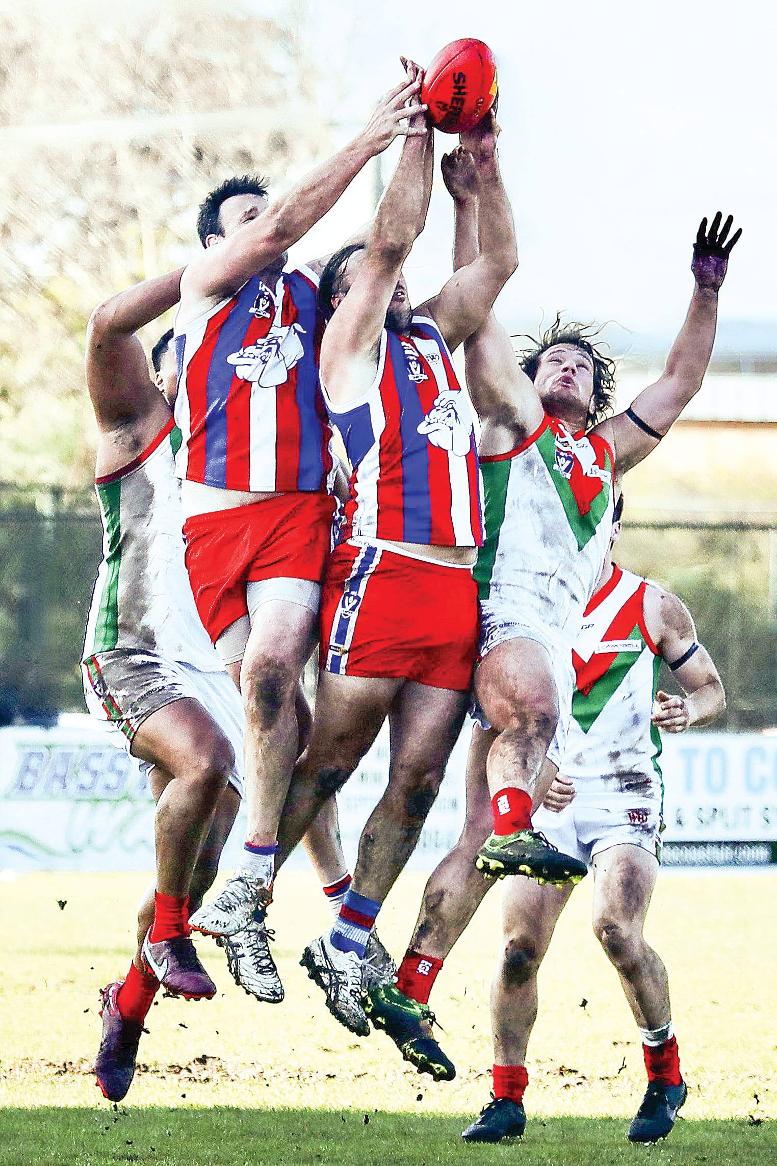 The Bulldogs and Seagulls clash for the ball. Photo: Carol Ratcliff