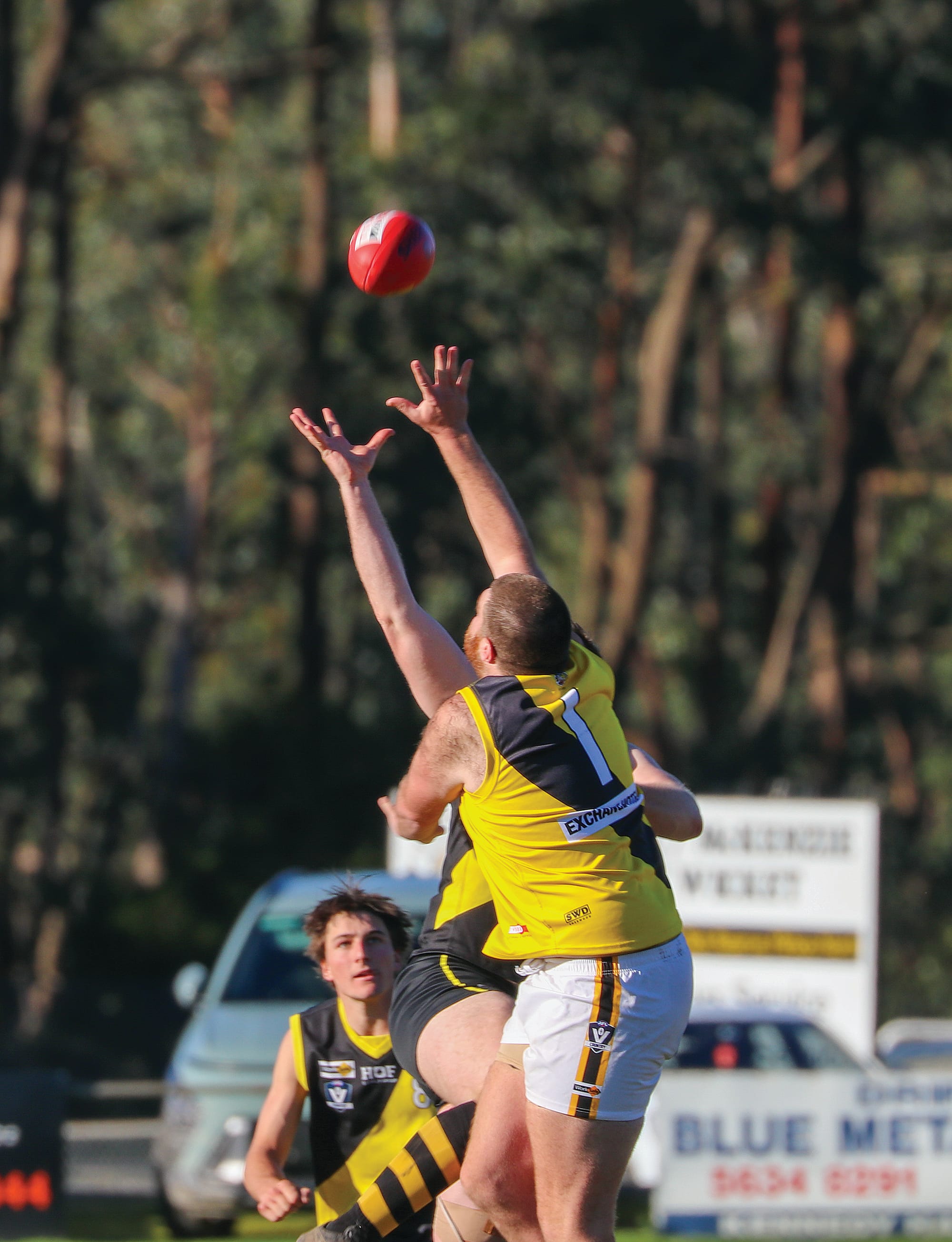 Foster dominates battle of the Tigers