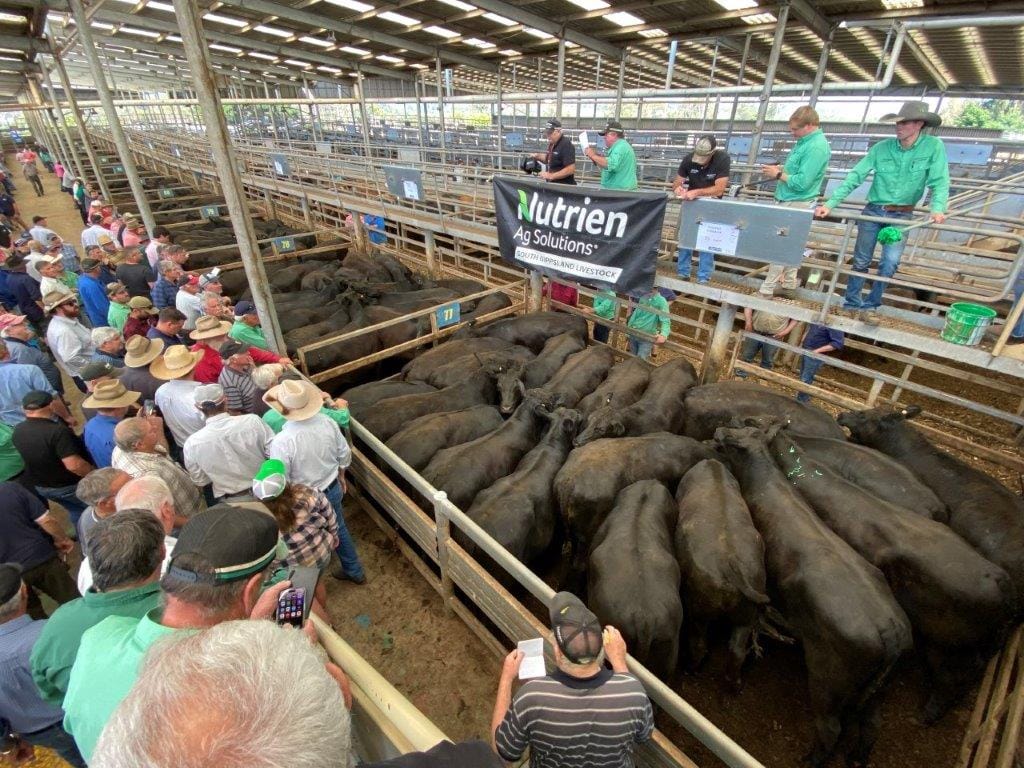 Super centre: Why Pakenham’s loss could be Leongatha saleyard’s gain