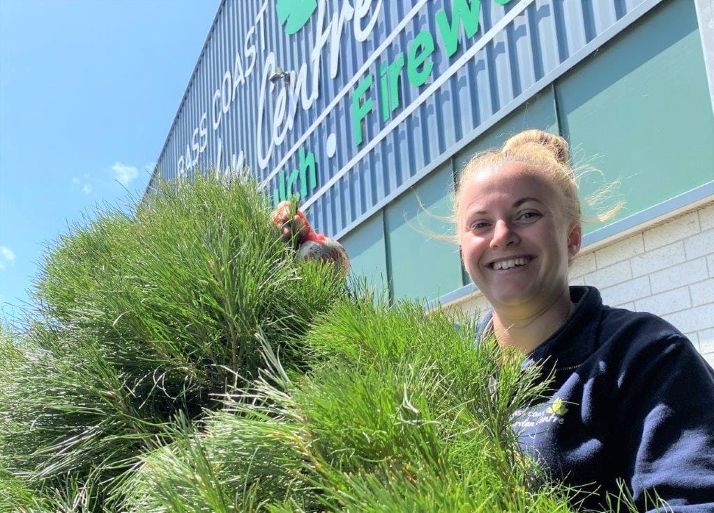 Carly Chizzoniti still has some fresh Christmas trees at Bass Coast Garden Centre in Wonthaggi, starting at $75.
