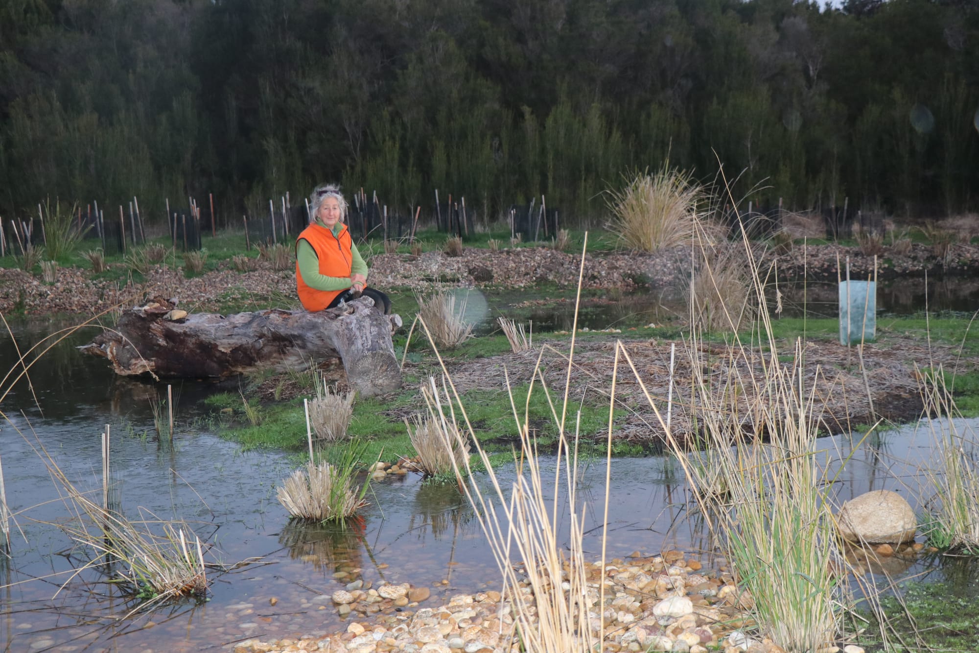 Planting day this Sunday