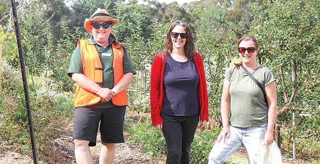 Sustainability in focus