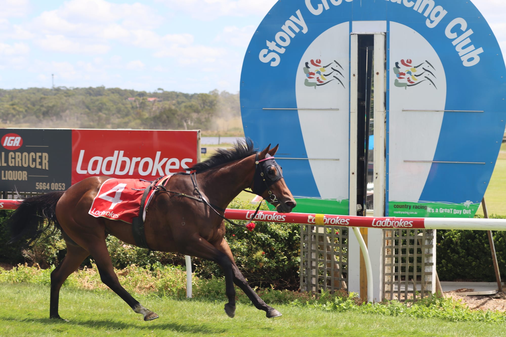 Two jockeys down in race fall at Stony Creek Tuesday
