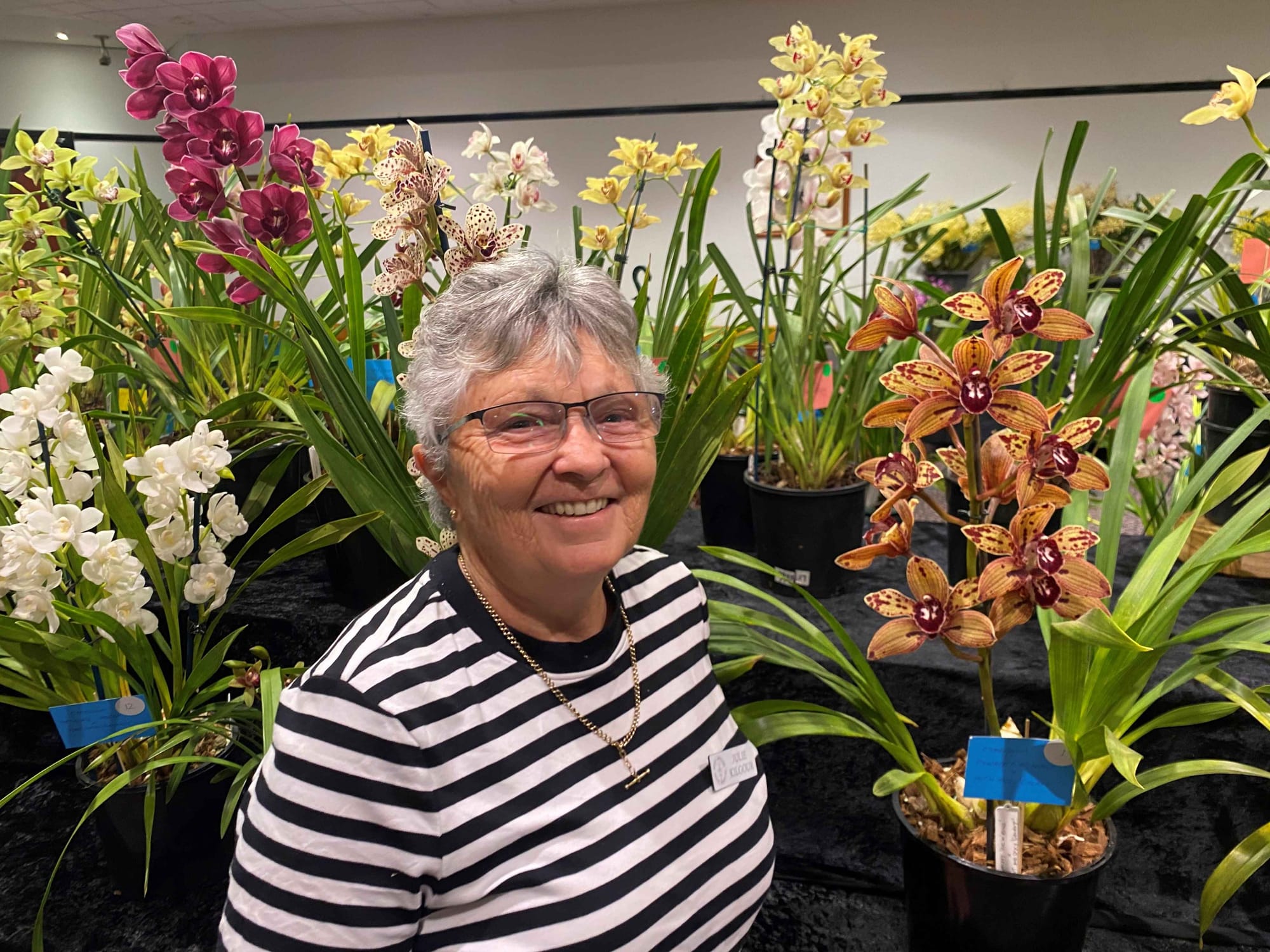 PREVIEW: Wow what a show of orchids at Wonthaggi!