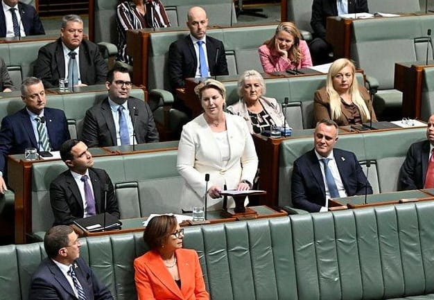 Mary Aldred MP joins Bendigo Bank pile-on