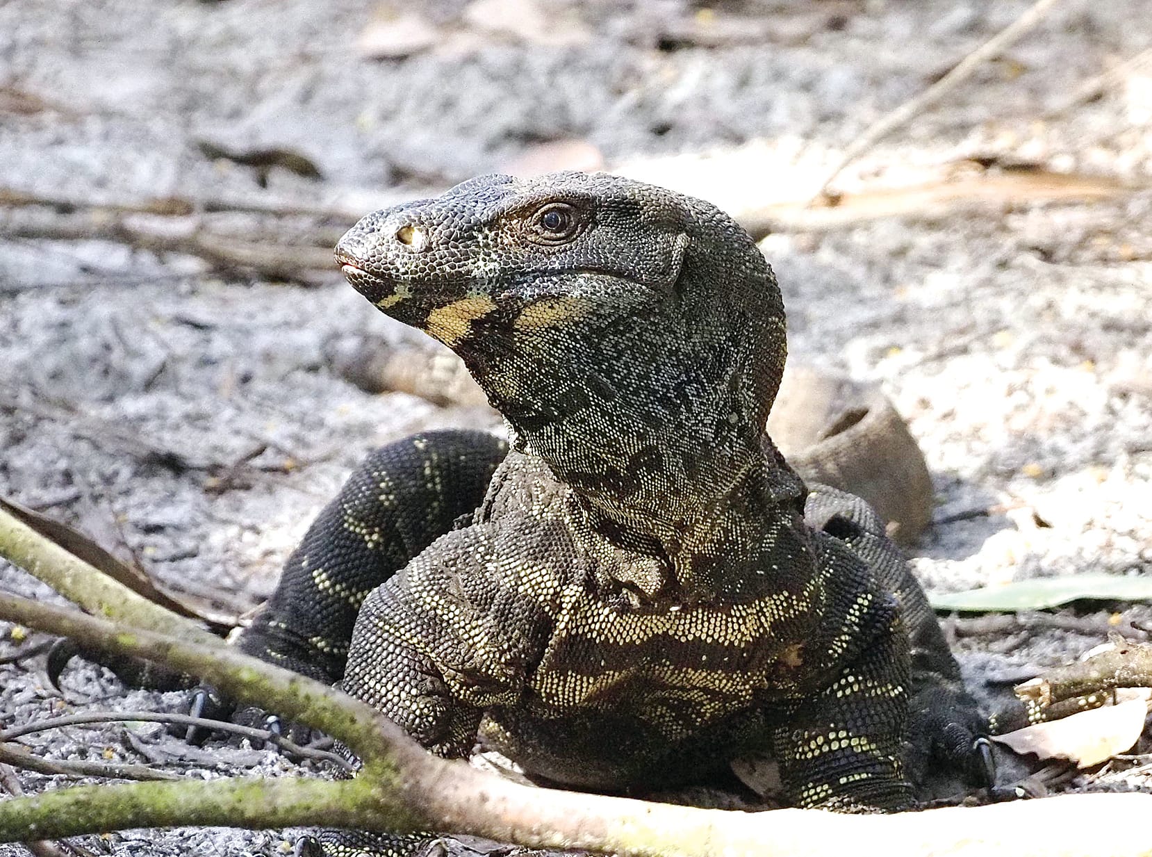 Bass Coast DAL needs to draw ‘line in the sand’, says shire