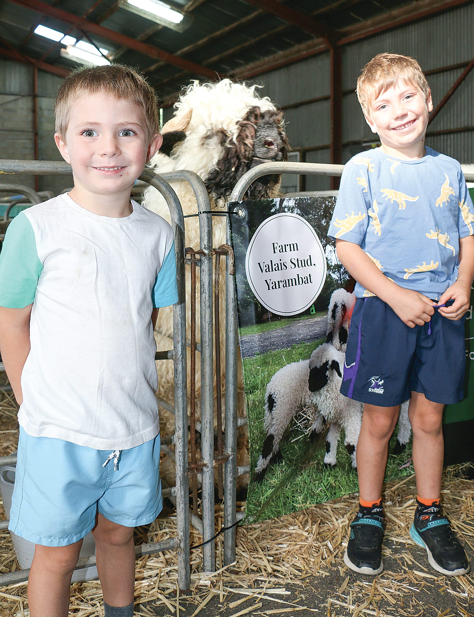 Freddie and Alfie Richter with “the world’s cutest sheep” at the Korumburra Show.