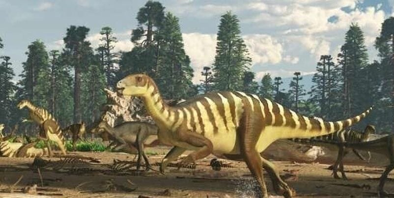 Funding pool shrinks for Bass Coast’s dinosaurs