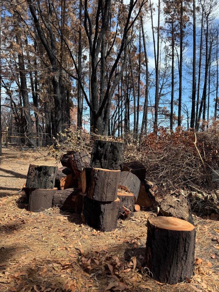 Mahanama Wijayasiri has made good use of the burnt and fallen trees at his Gurdies’ home while he continues the clean-up after fire.