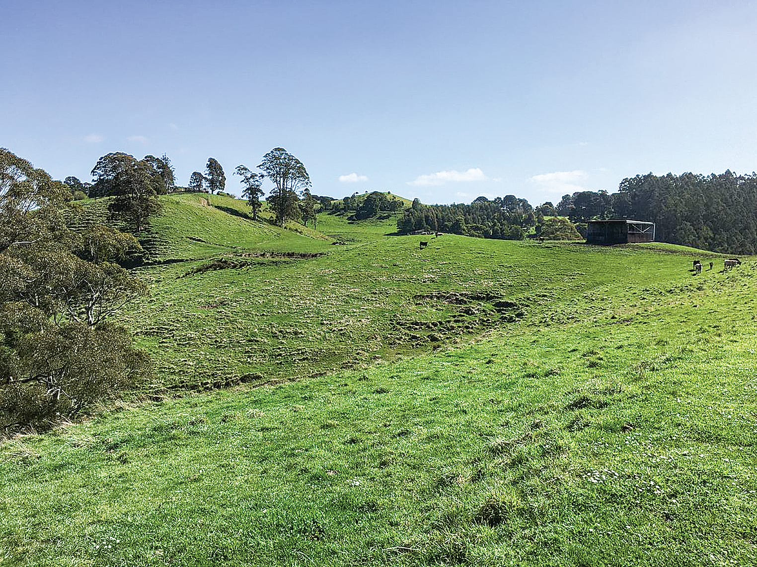 Landholders unite for reforestation carbon aggregation