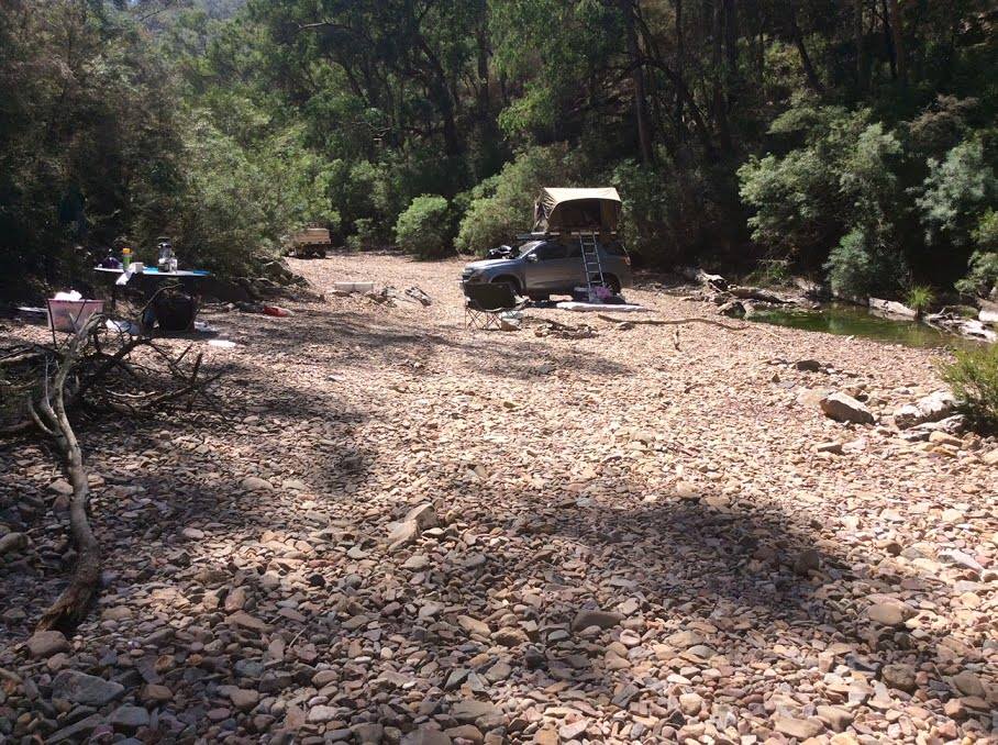 Stay safe in parks and forests this long weekend