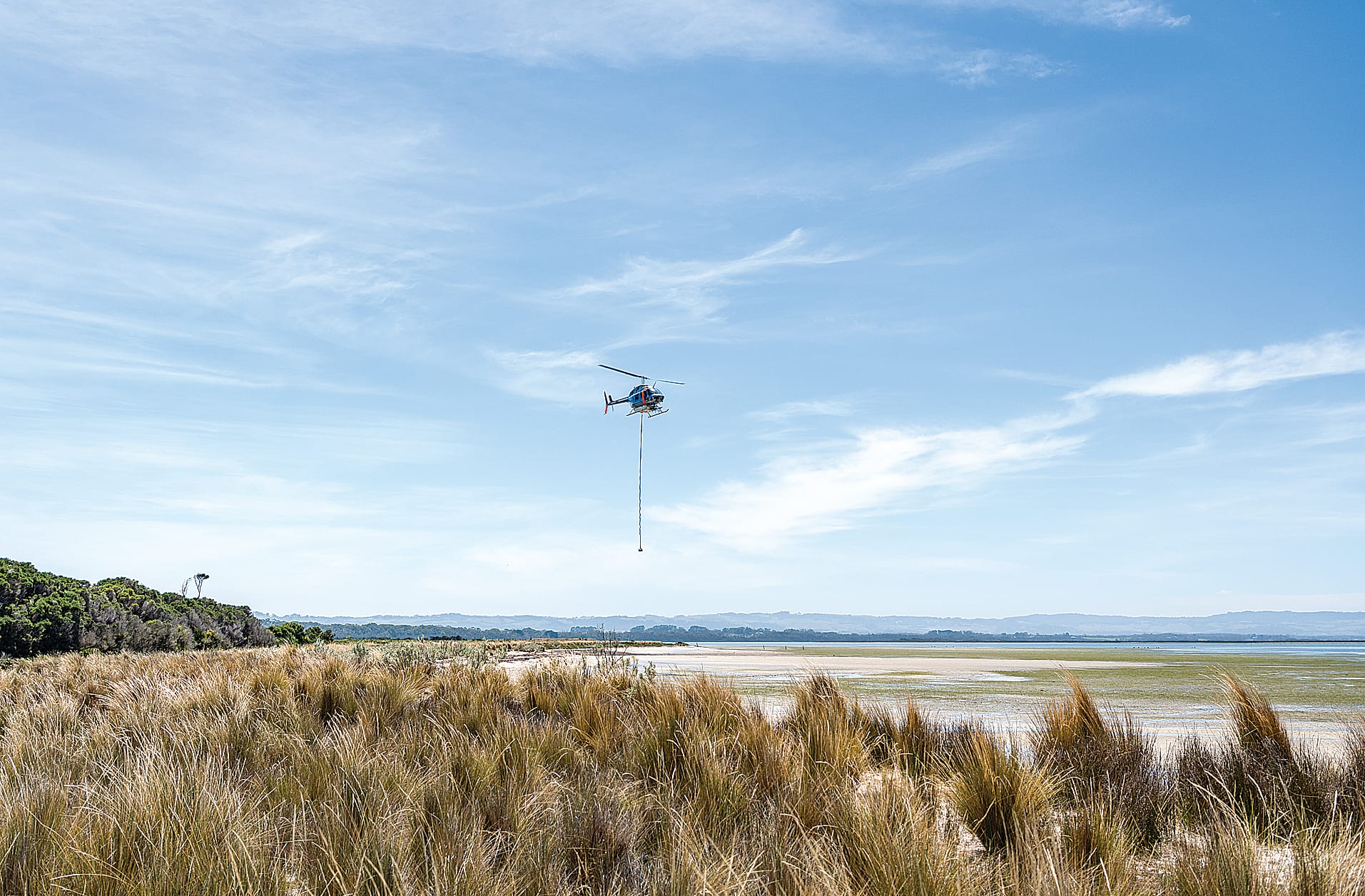 Spartina was sprayed at Corner Inlet. 