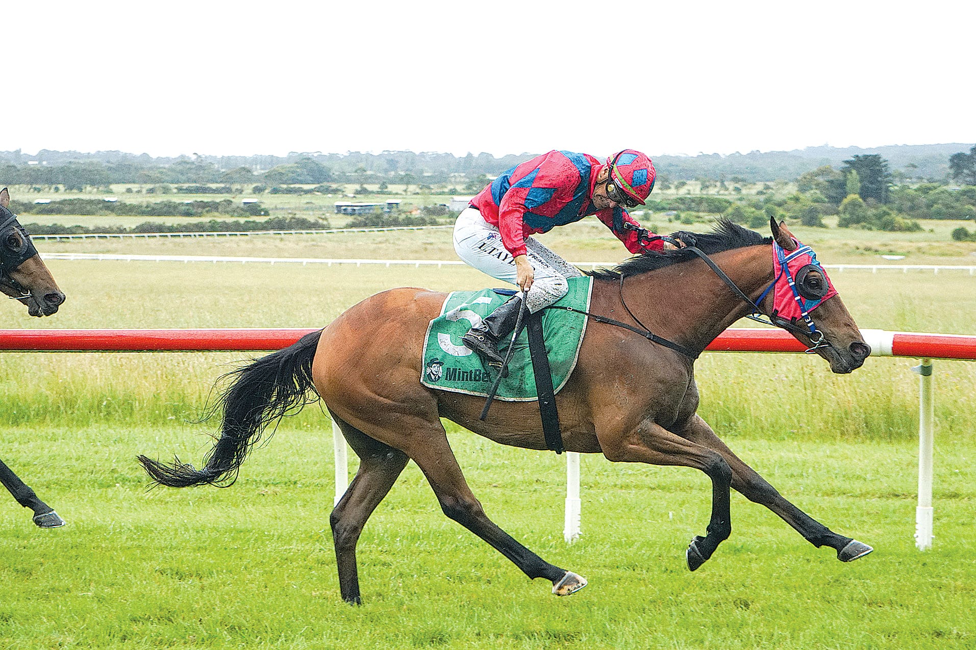 Leigh Taylor battles through the soft going on Mr Zigmund in race 4. Ns21_4923