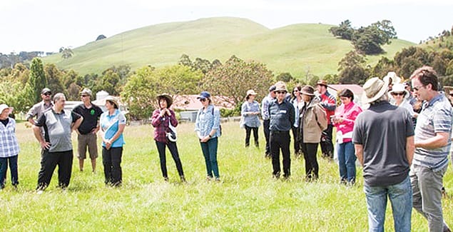 Let your creativity shine with the Sustainability Festival