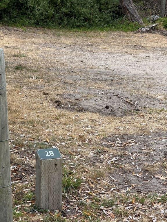 Usually busy at this time of the year, there were vacant sites all over Bear Gully at the weekend, and it’s the same story at Wilsons Prom.