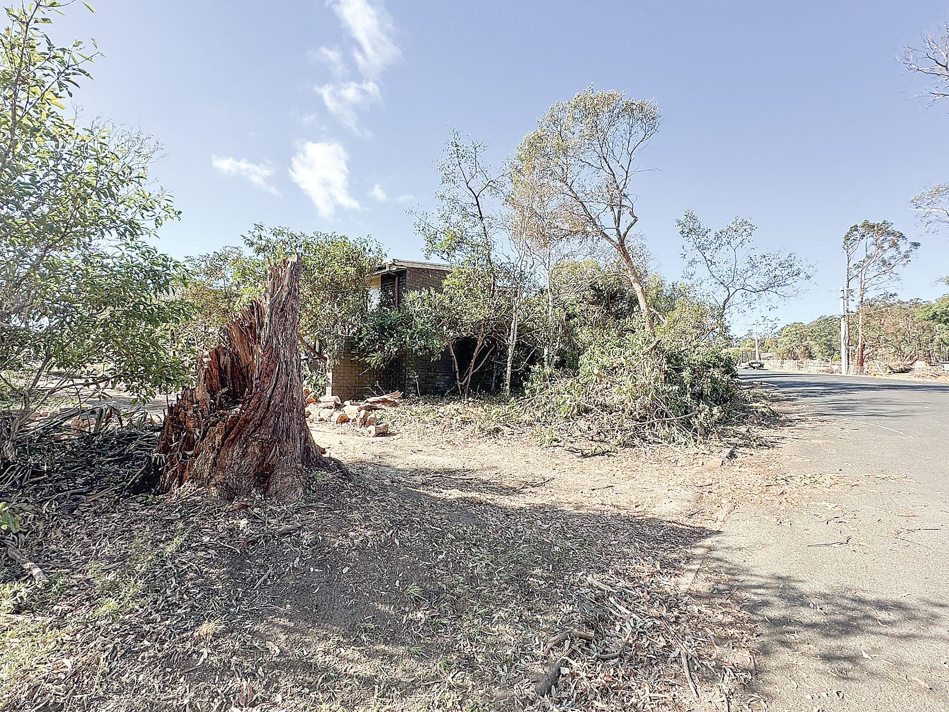 Logs, large trees, branches, and green waste remains stacked in front yards, along driveways and roads and on nature strips. ob06_1024