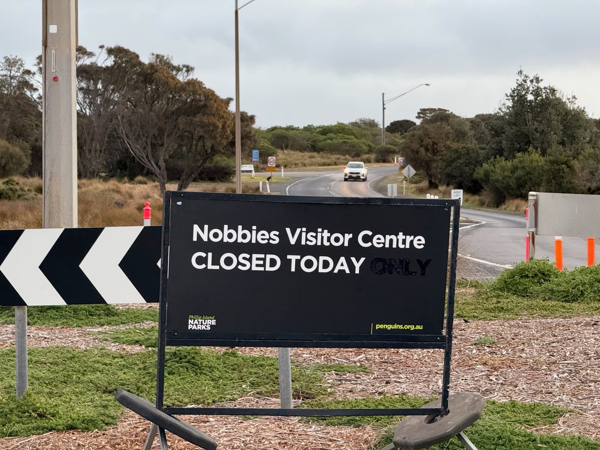 The Nobbies temporarily closed, including boardwalks