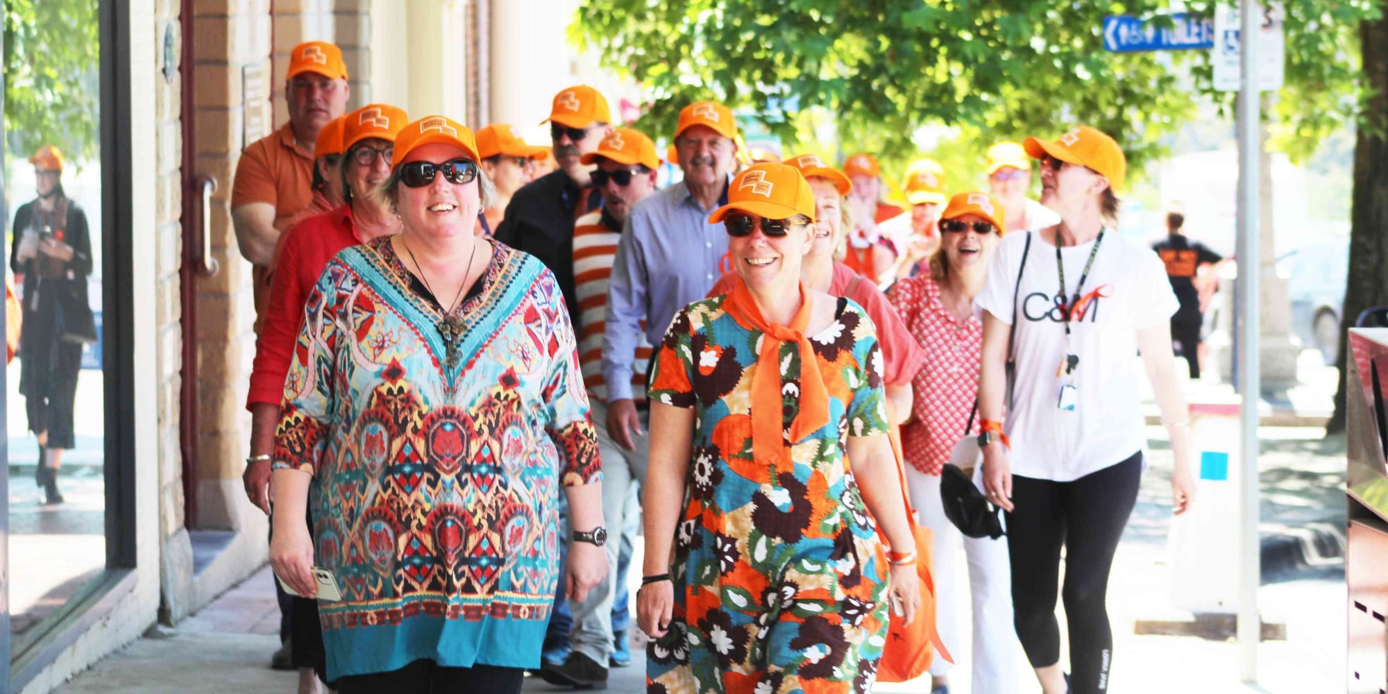 Walk against family violence