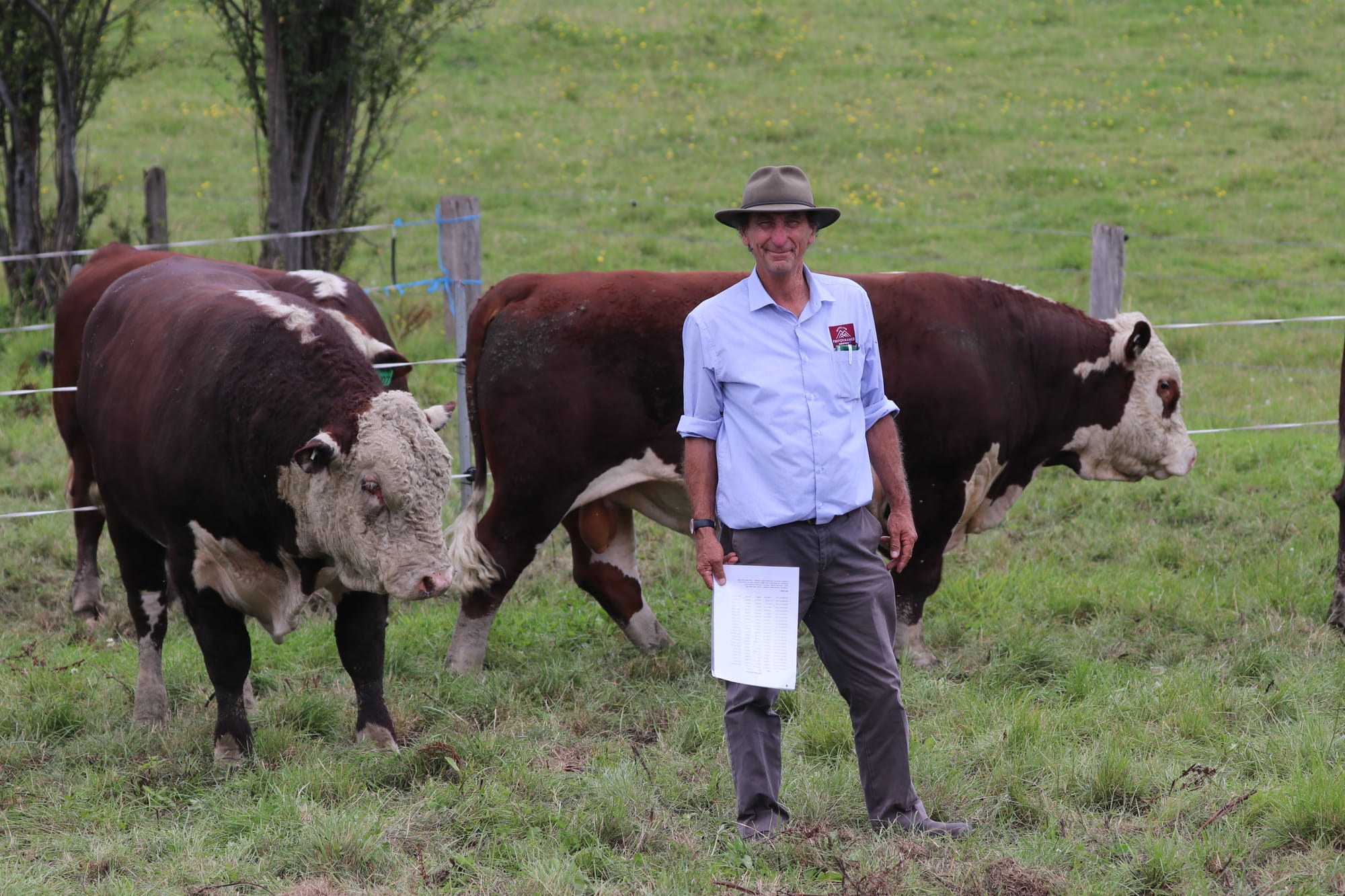 David Meikle of Tarwin Poll Herefords. 