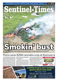 Tuesday, October 29, 2024