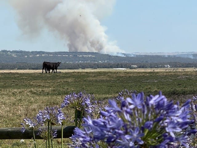 View from the South Gippsland Highway.