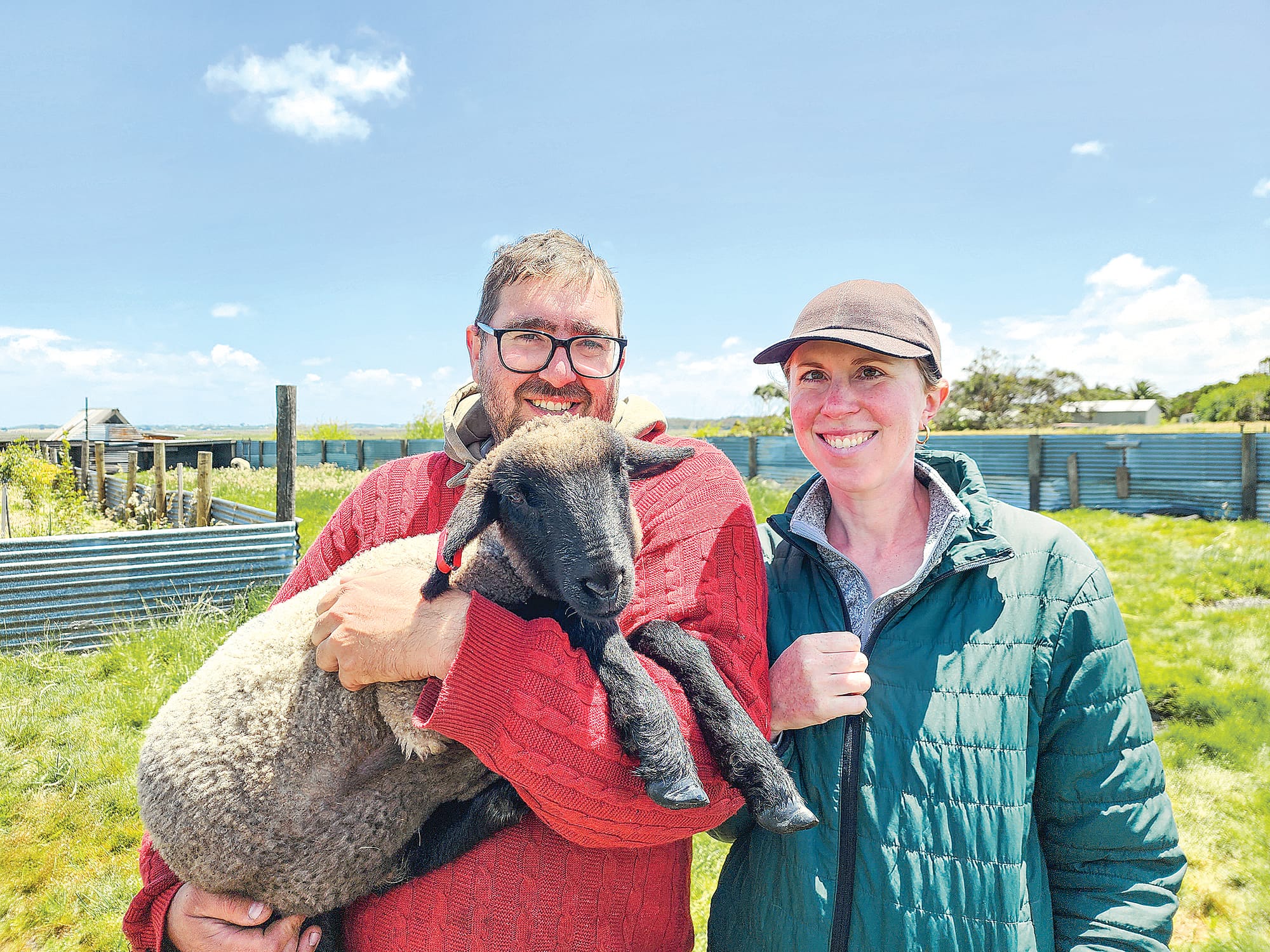 Black Fish, aptly named for flopping around like a fish when born, is one of two of the smaller lambs at the farm.