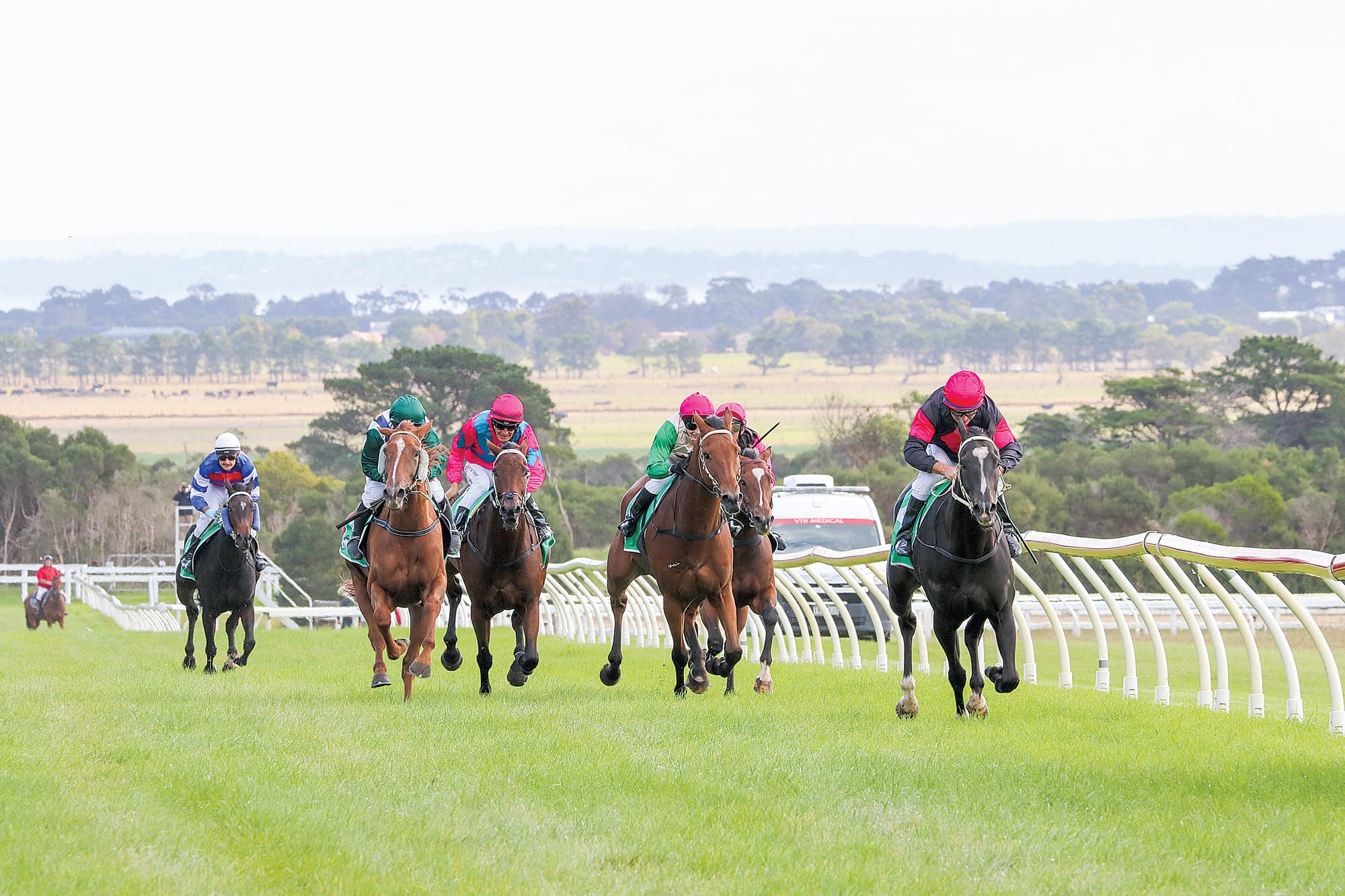 The fifth race was taken out by the Cranbourne trained Needa Bigger Boat giving Ray Douglas his second win for the afternoon. Z34_1423
