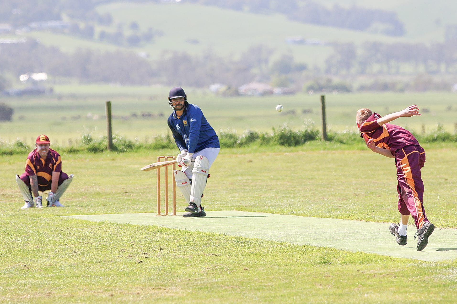 Sharks overpower the Cobras