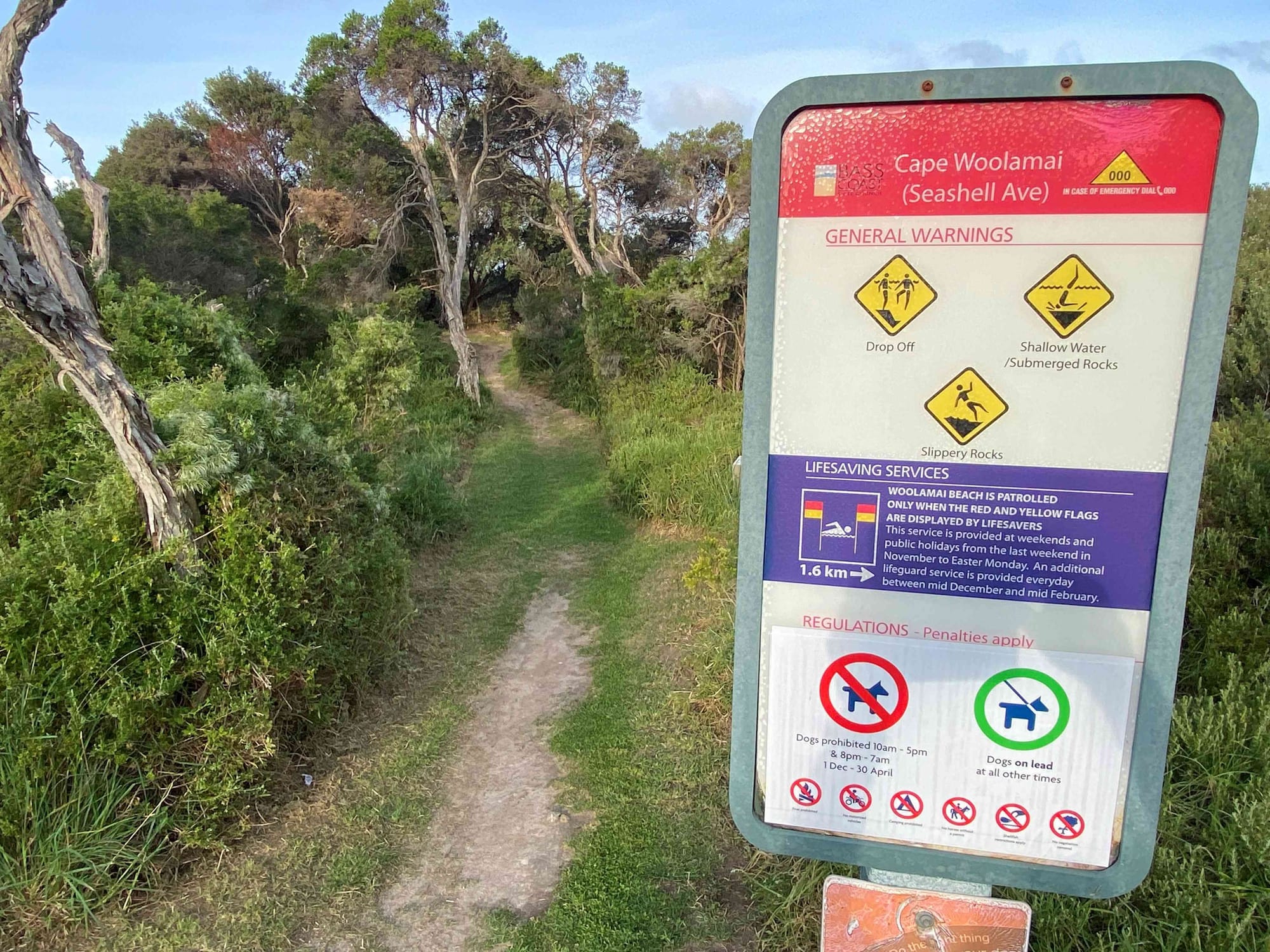 How dogs took the lead in the election outcome