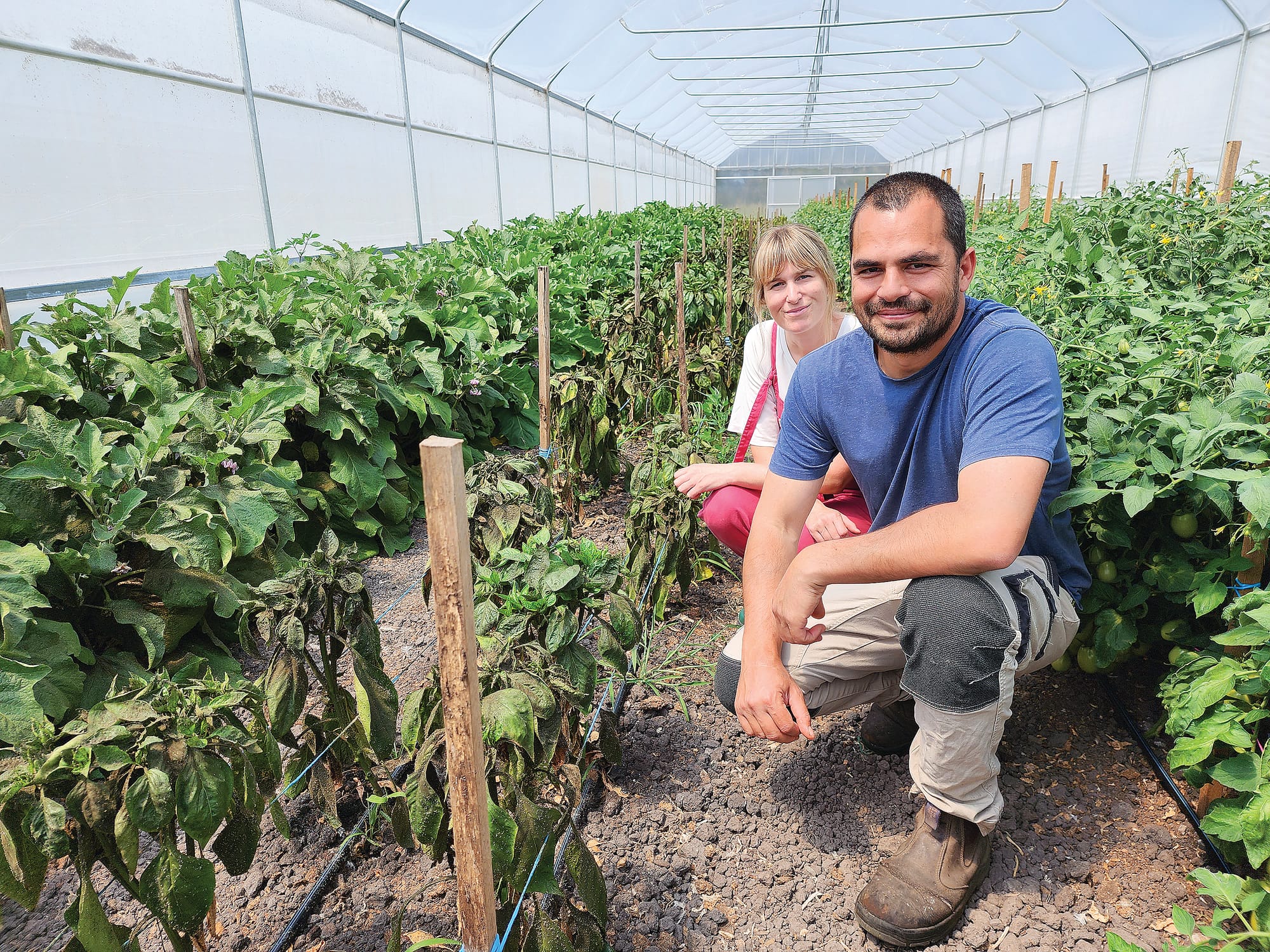 Crop woes - Weather wreaking havoc on local farmers