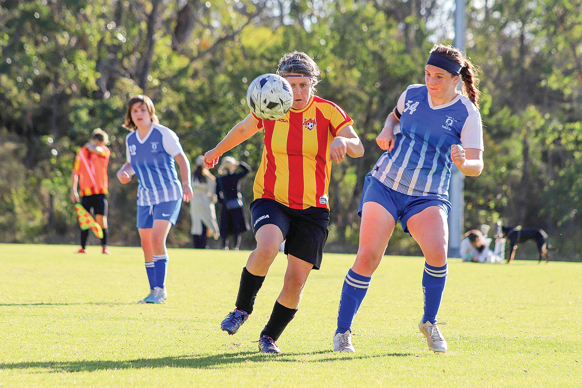 Leongatha Lady Knights return to winning ways