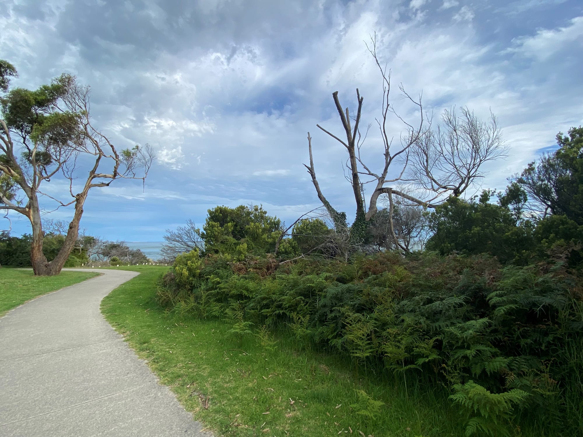 Only one way to go on Surf Parade, they say