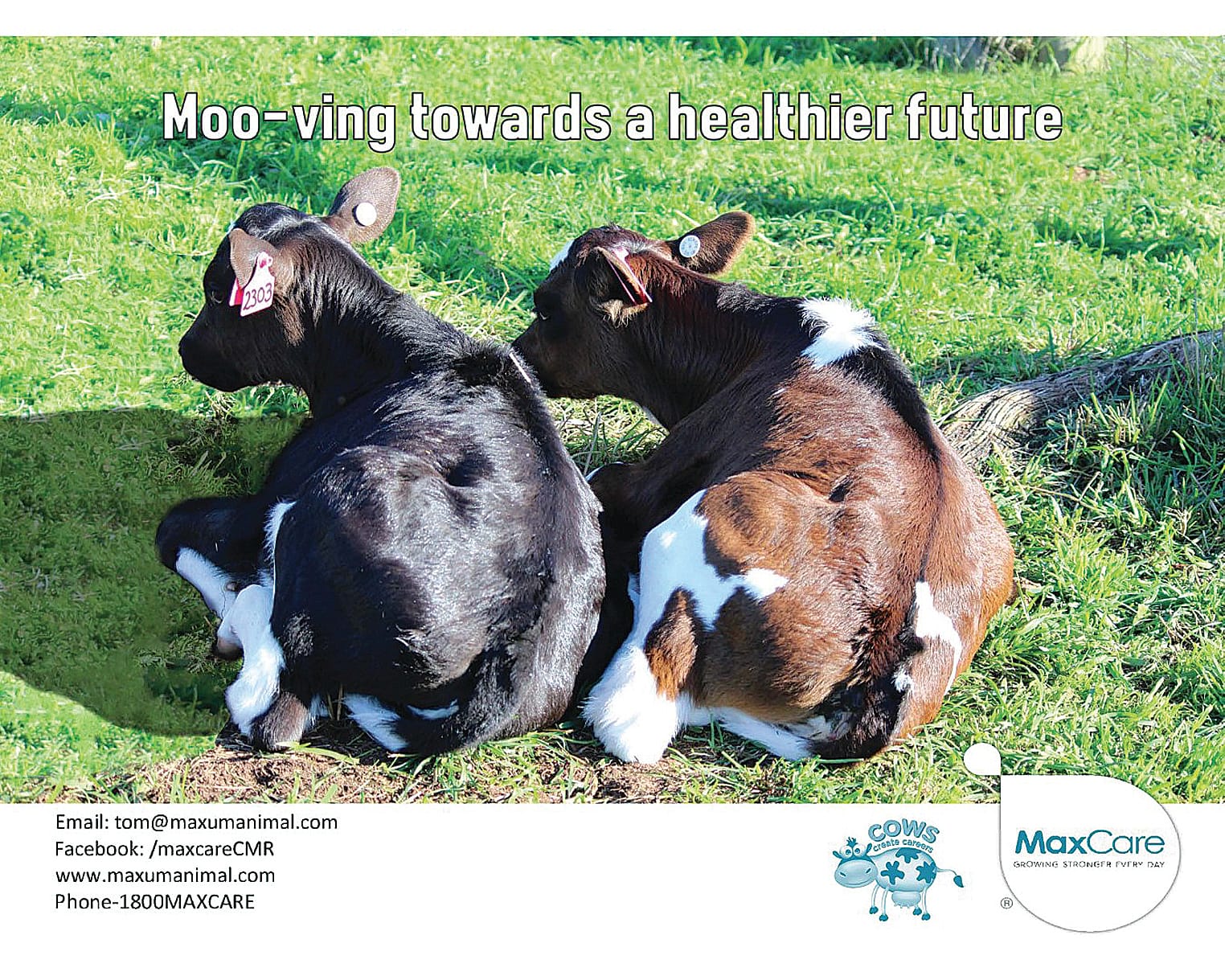 The winning ad designed by Riley Lawrence and Mitch White.