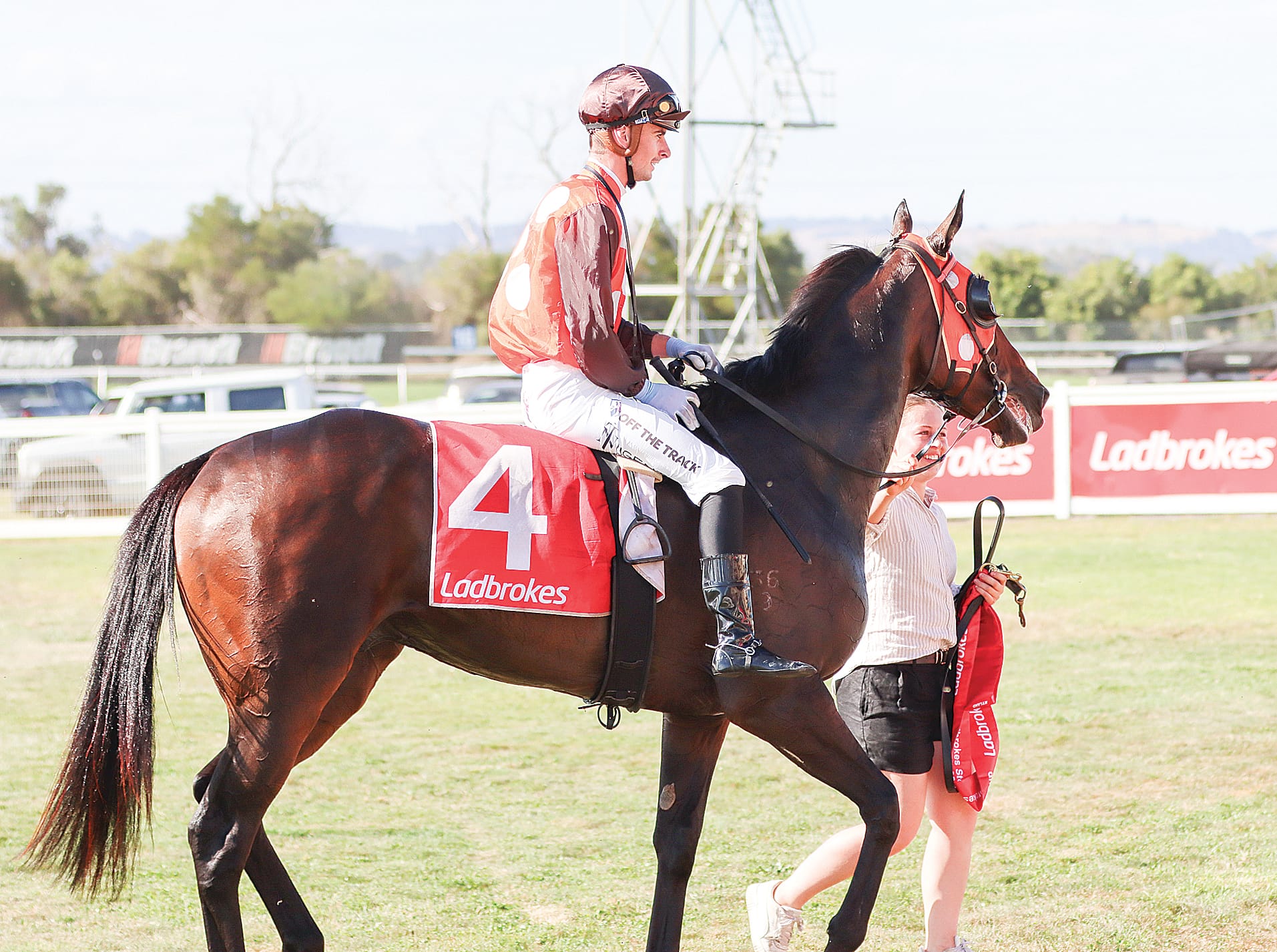 Five-year-old bay gelding, Fam Gorman proudly struts back having been victorious in the Stony Creek Cup, superbly ridden by skilled jockey, Teo Nugent. W49_1025