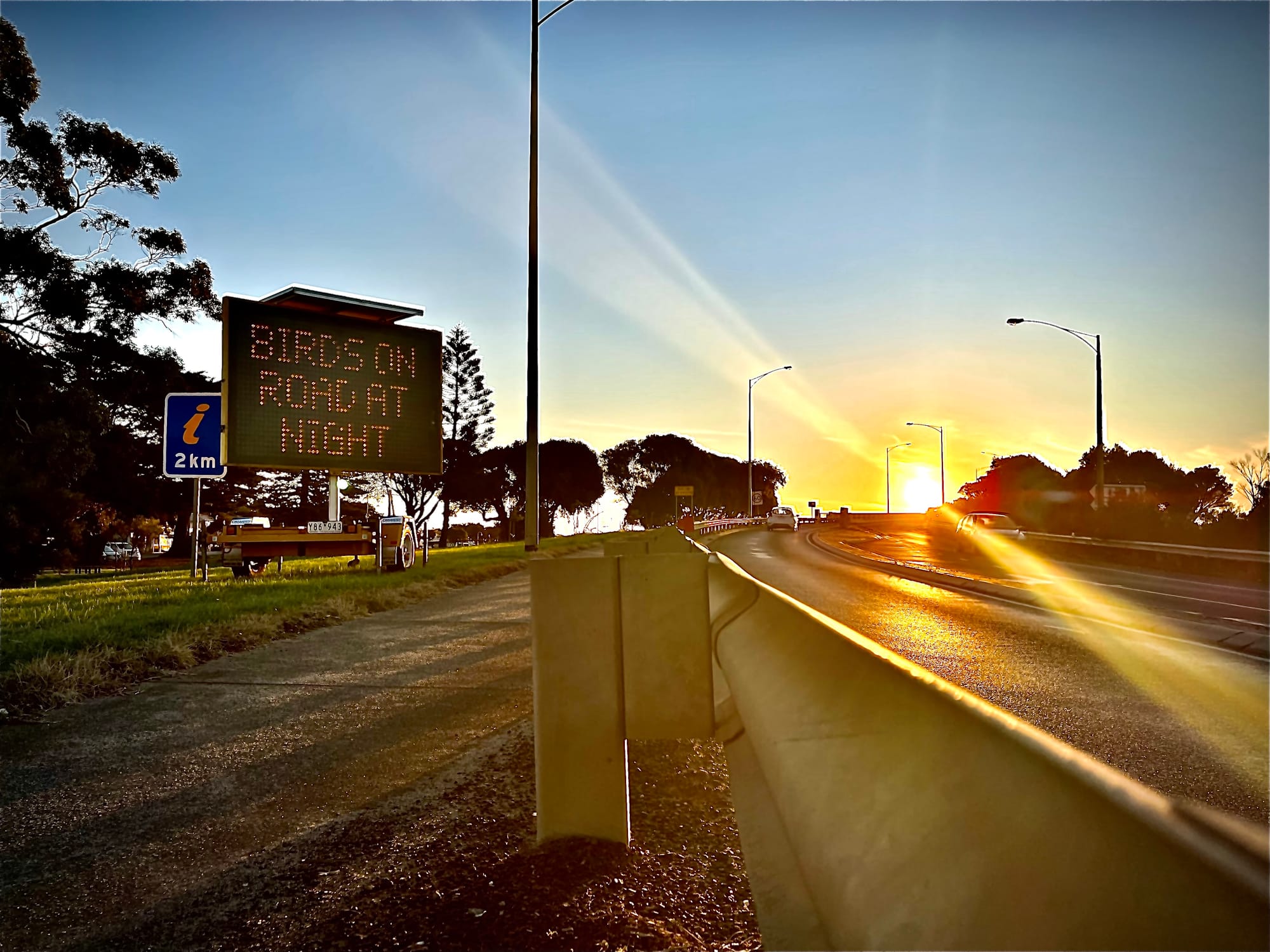 Lights off as shearwater chicks take off