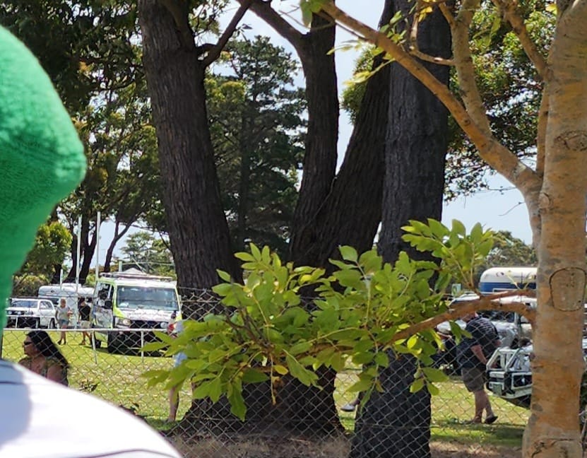 Woman airlifted after horse accident at Show