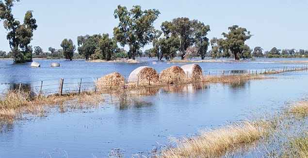 Post-flood irrigation checks to set you on the right path