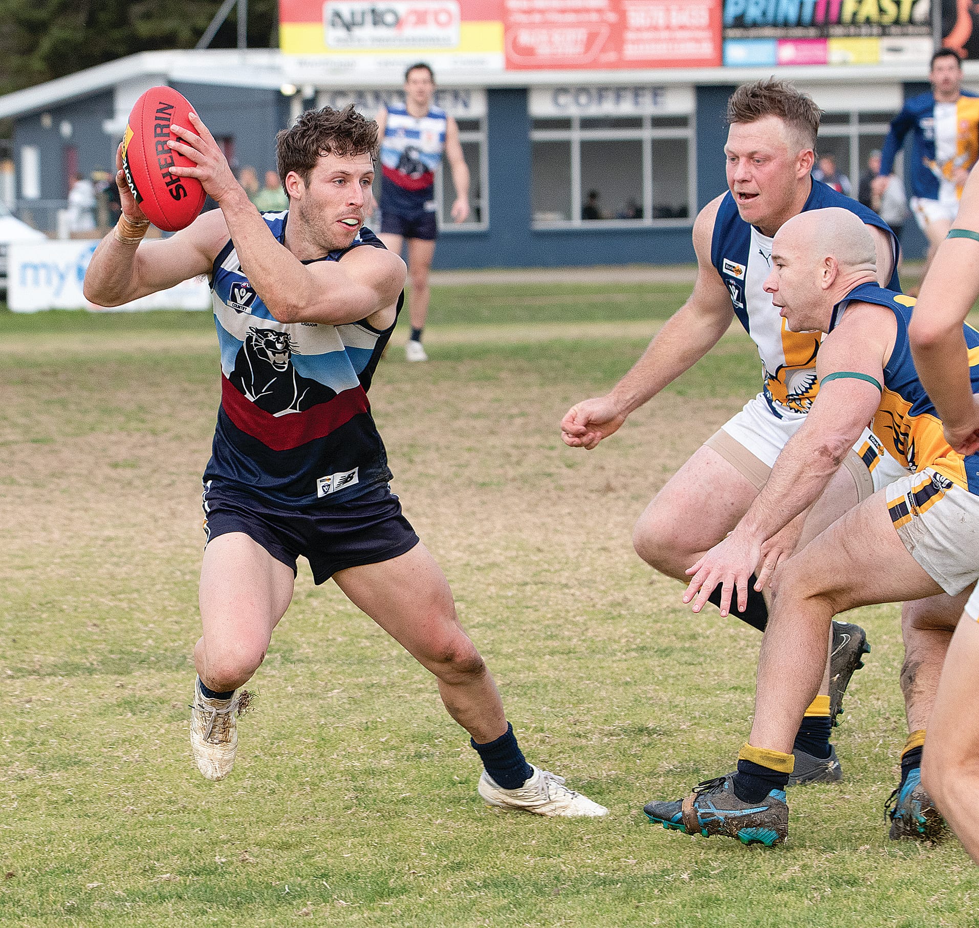 Nathan Foote weaves his way around a swarming pack of sea eagles.
