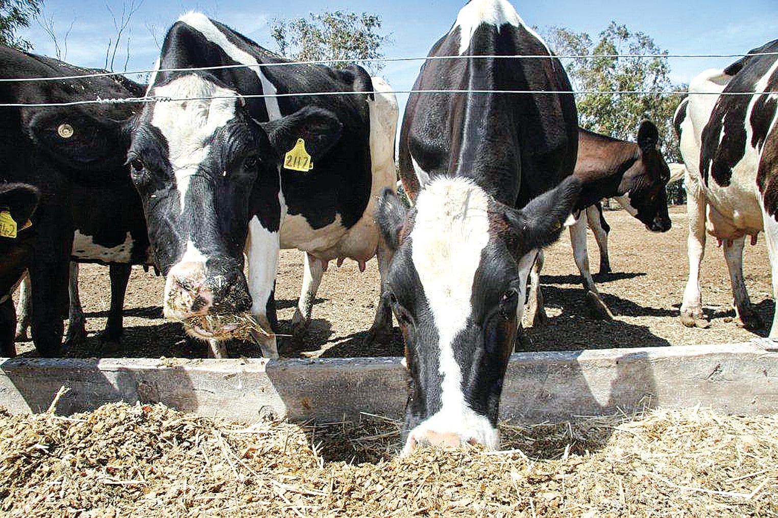 Dairy Farm Monitor reports another positive year