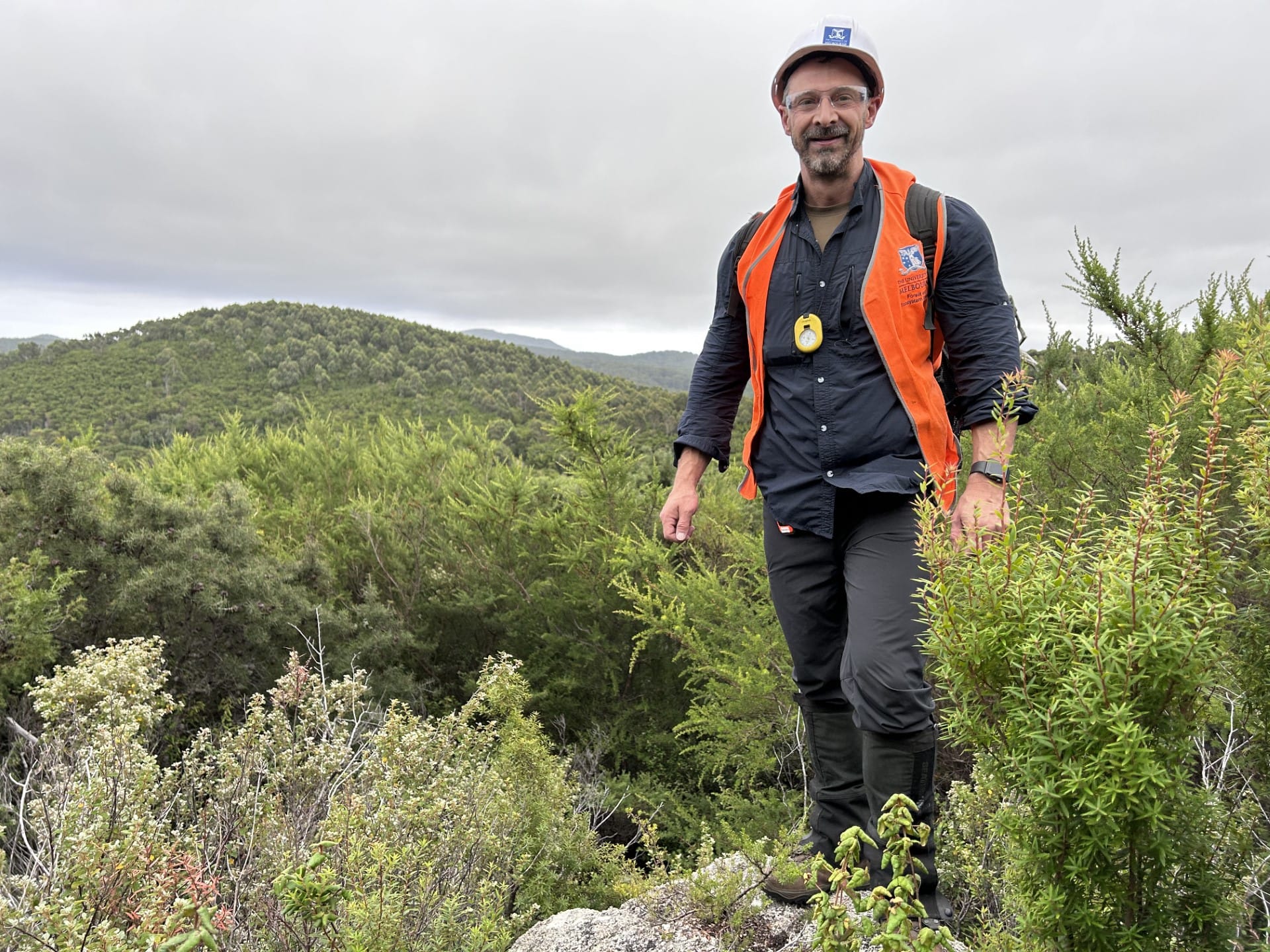 PhD student examines lost eucalyptus canopy at Wilsons Prom