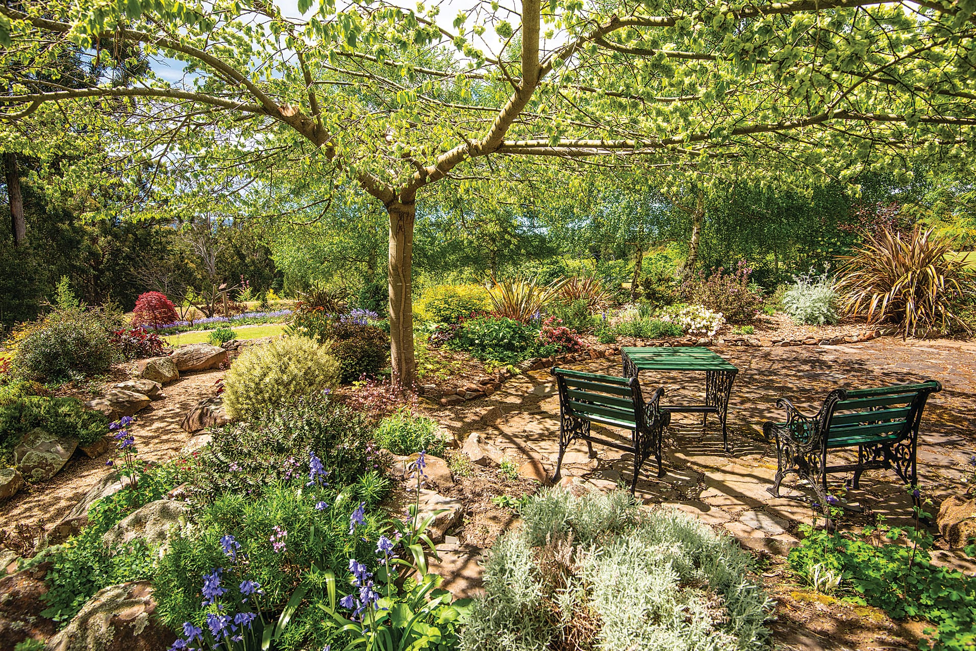 ‘Meander’ at Icy Creek, where rare trees and shrubs sit beneath towering eucalypts with mountain views.