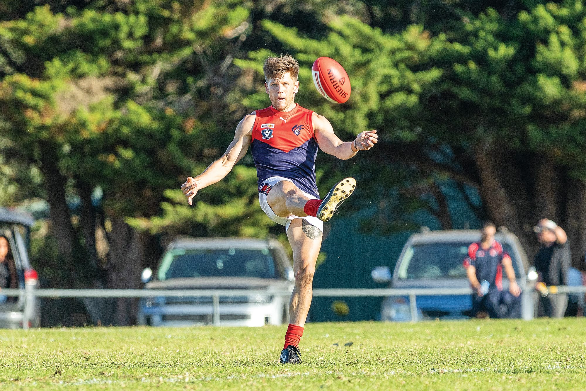 Demons withstand Shark attack in bruising four-quarter battle