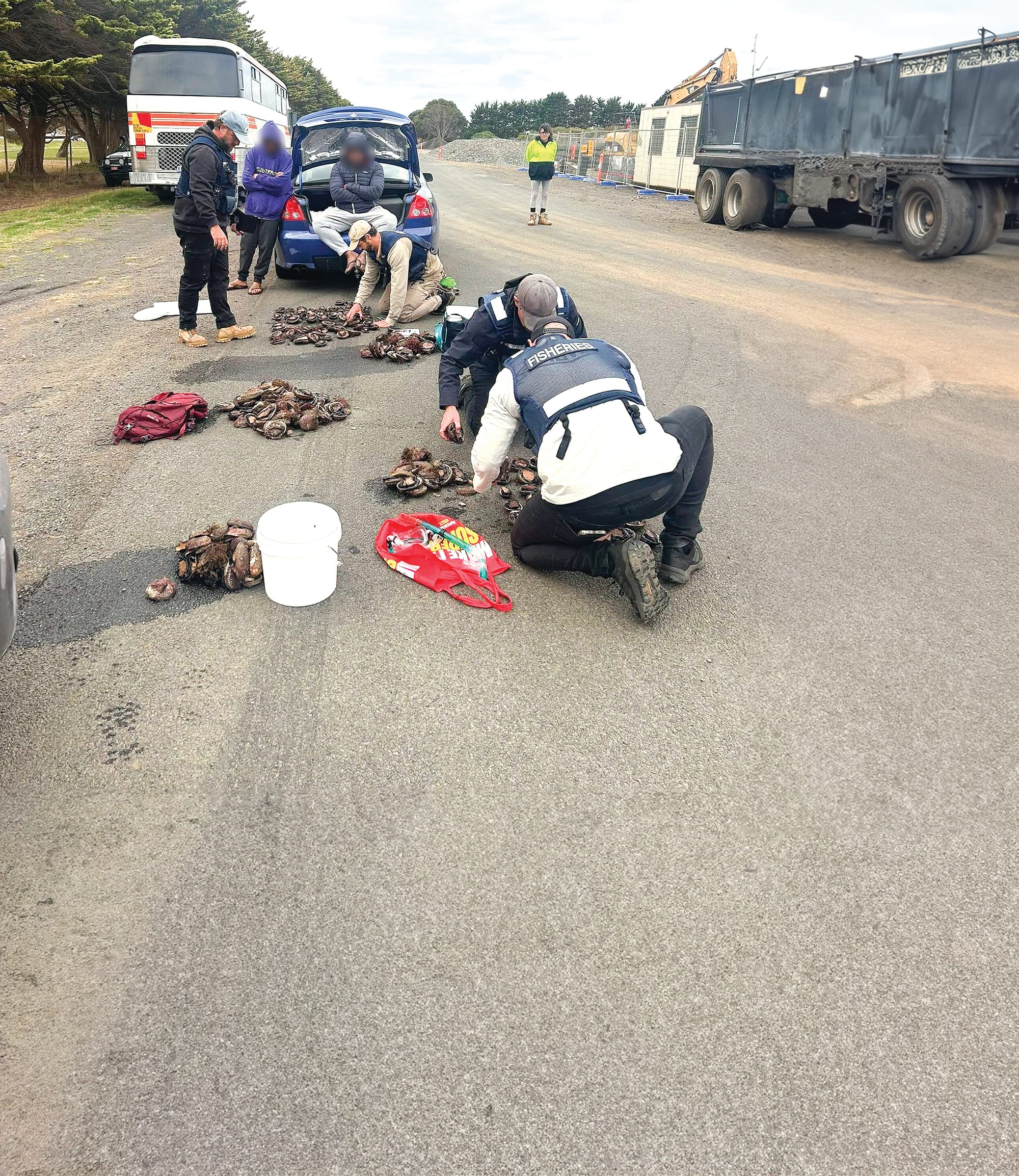 Absolute debacle - VFA’s abalone raid sparks calls to keep fisheries