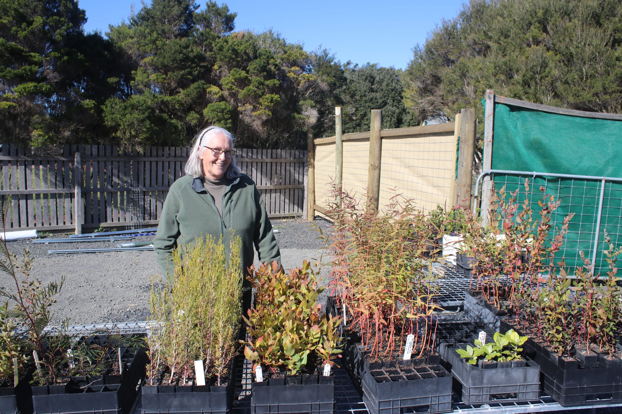 Grants program blooms as thousands of plants go on sale