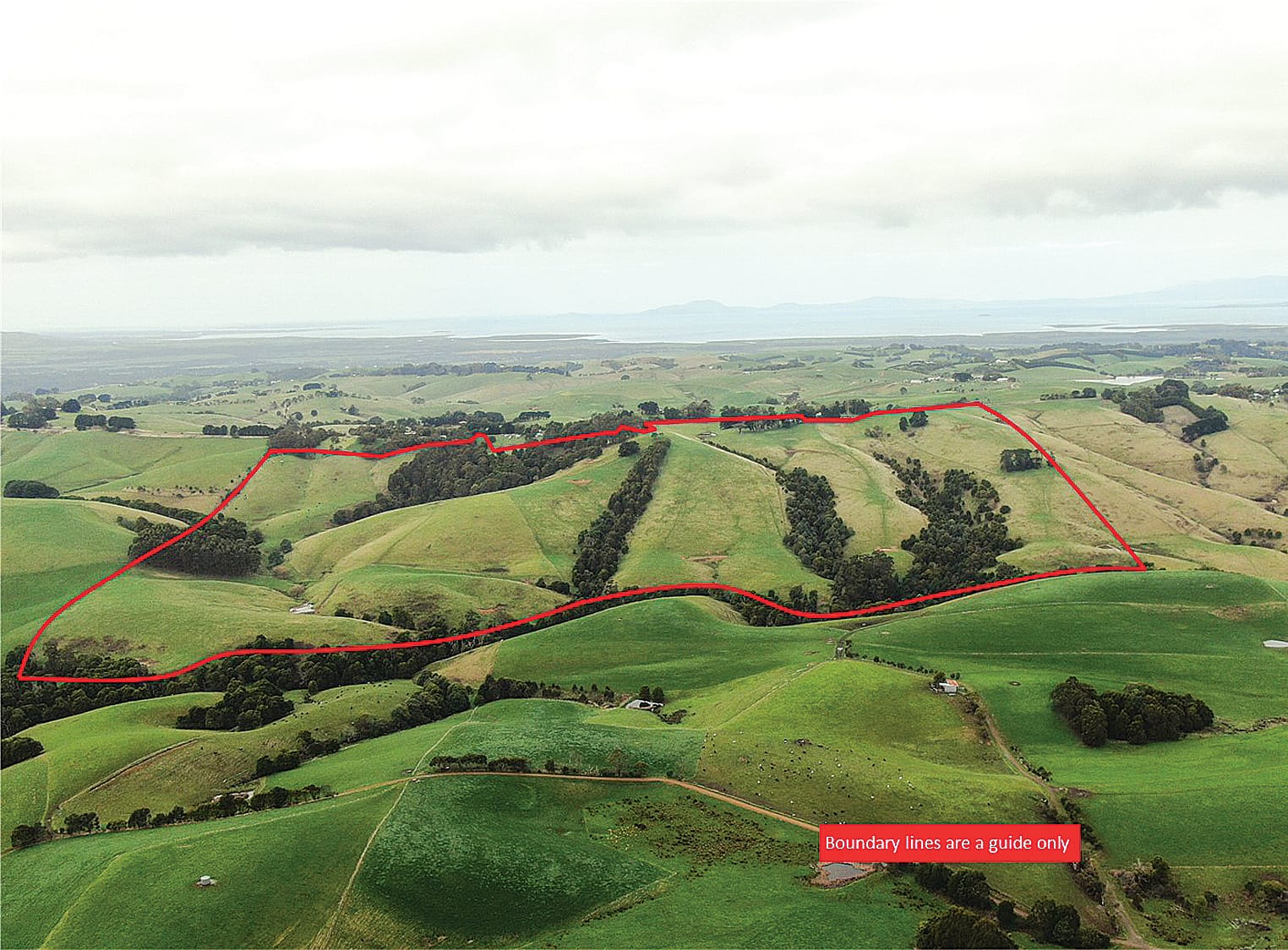 Situated in an elevated and beautiful part of the world this scenic grazing property of 207 acres at 422 O’Grady’s Ridge Road, Foster hits the market at the right price.