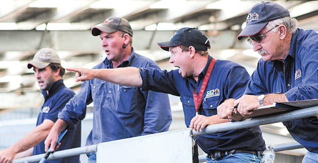 Last store sale for 2021