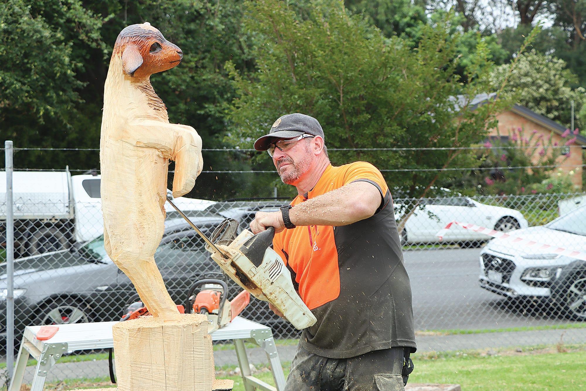 Andrew Noble works on a goat. A14_0924