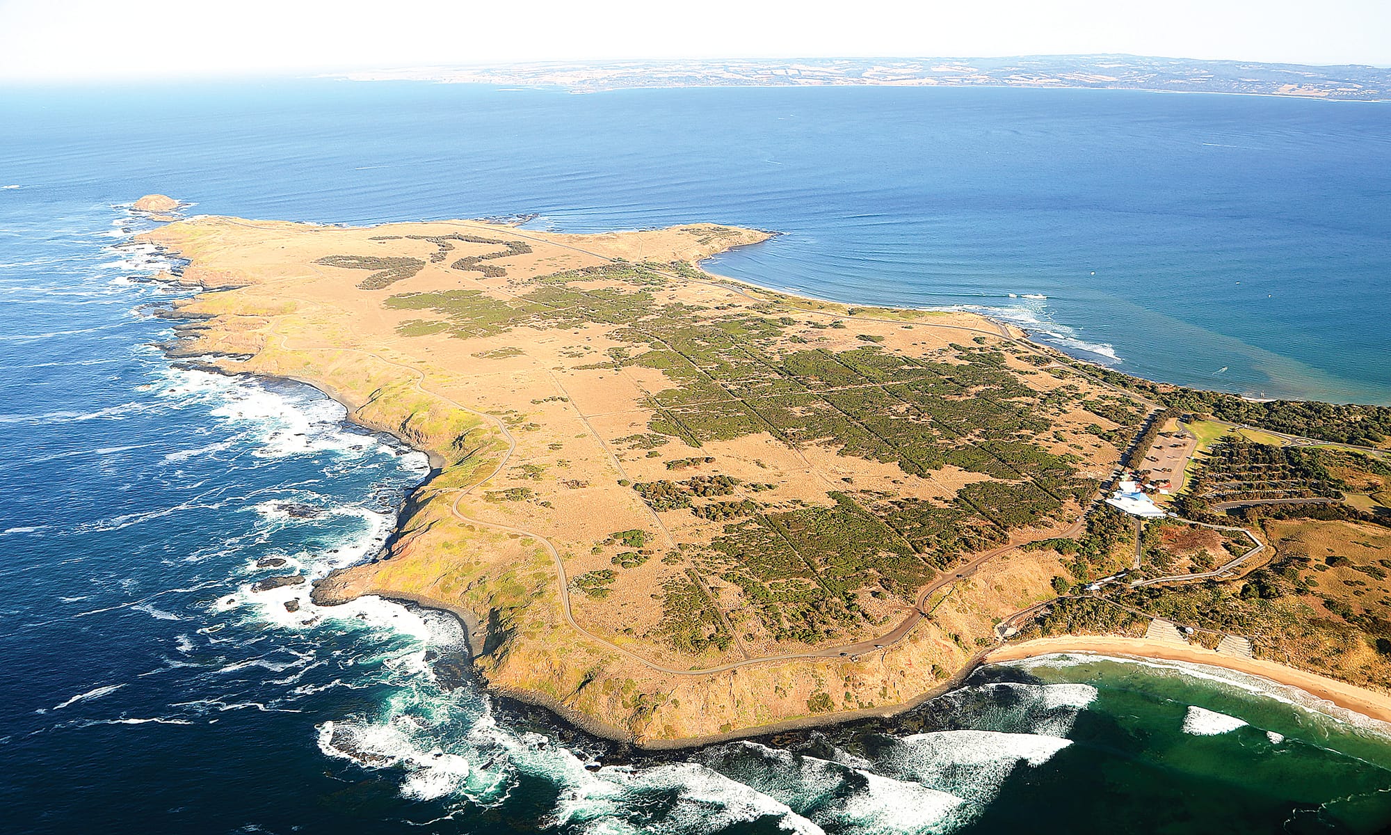 Have your say on a future vision for the Summerland Peninsula