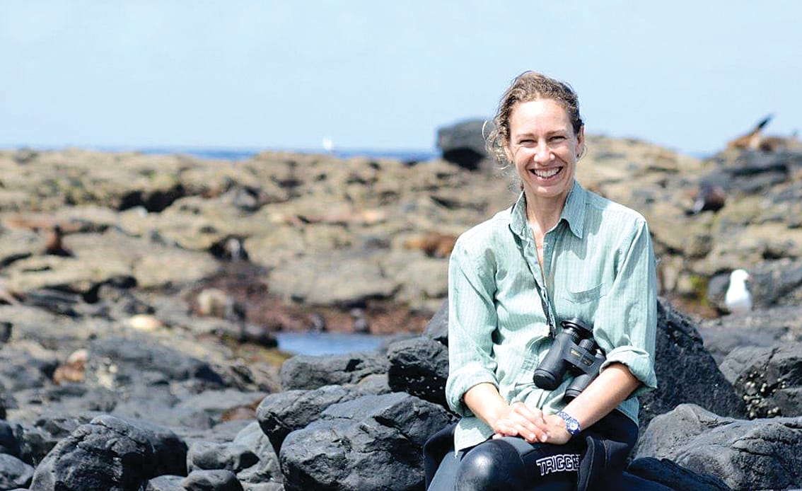 SealSpotter challenge more important than ever