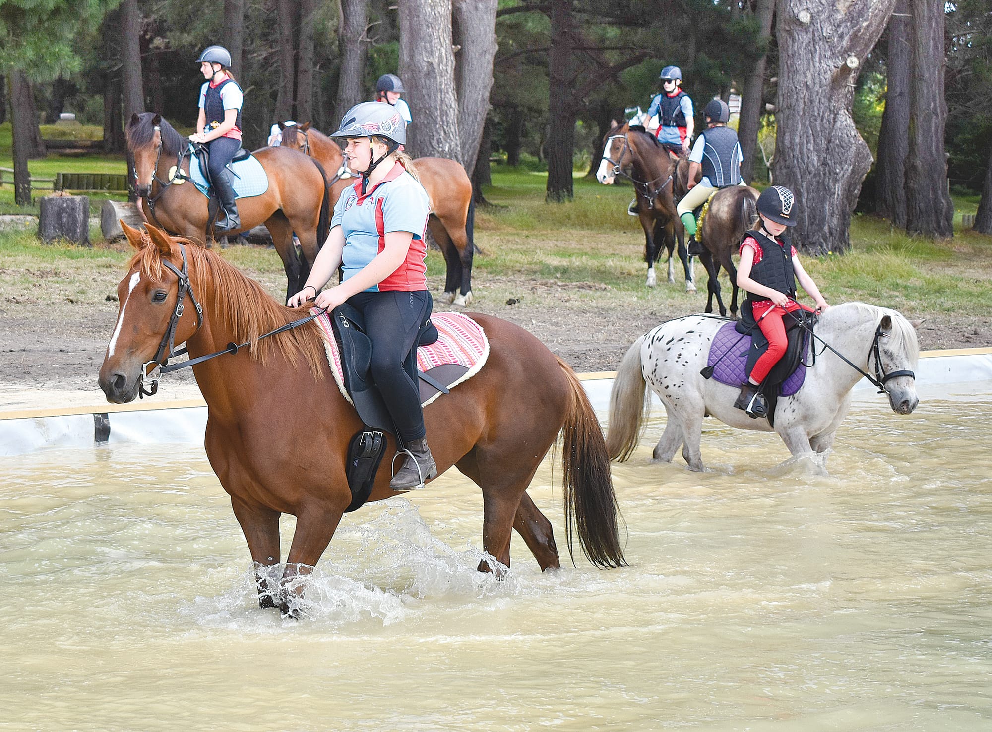 Christmas theme for pony club rally